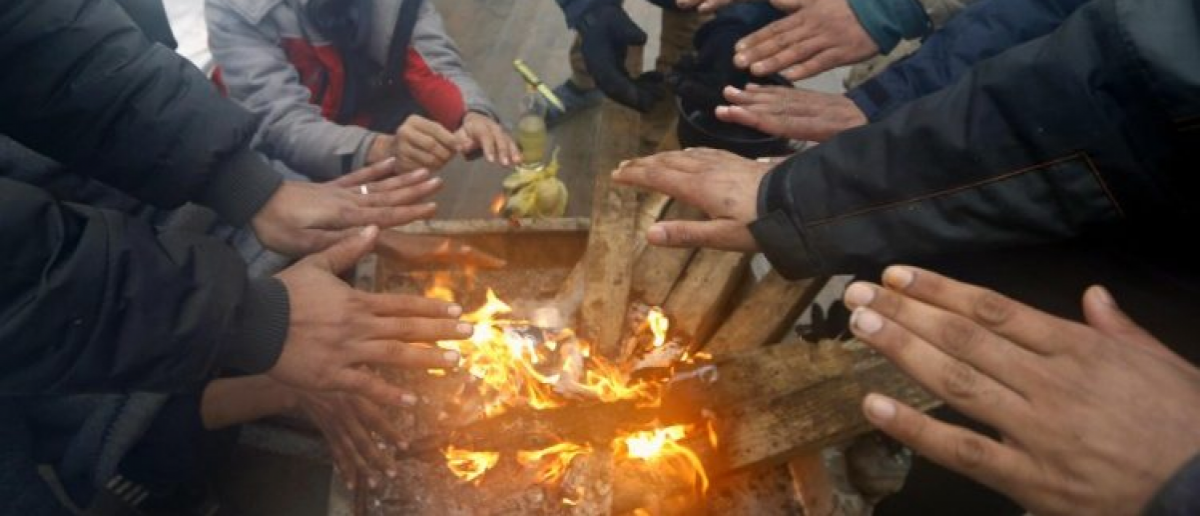 Necessità di legna per il campo di Lipa a sostegno dei profughi della Balkan Route